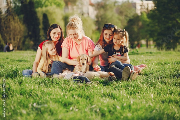 Fototapeta group with dogs