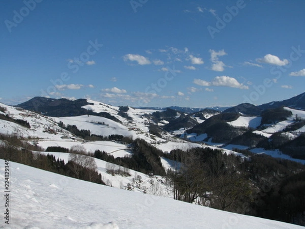 Obraz Pichlinger See - Austria