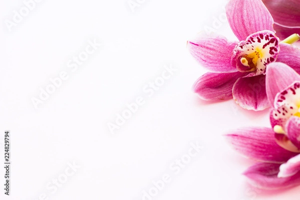Fototapeta Spa and wellness setting with orchid flower, oil on wooden white background closeup top view