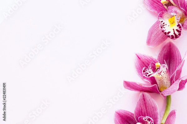 Fototapeta Spa i wellness ustawienie z kwiatem orchidei, olej na drewnianym białym tle zbliżenie widok z góry