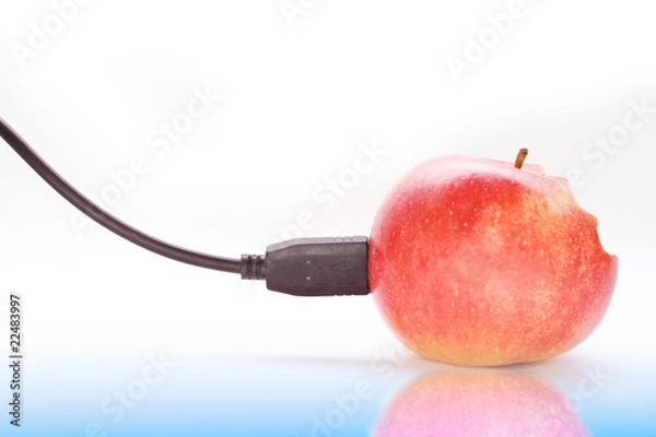 Obraz usb apple