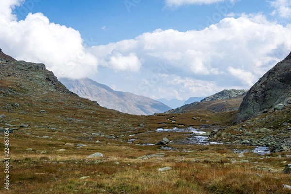 Obraz Idyllic view of Adamello Brenta National Park with rocks and a river , marshland, South Tyrol, Italy