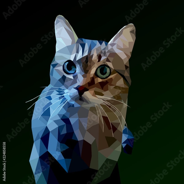 Obraz cat low poly on a dark background