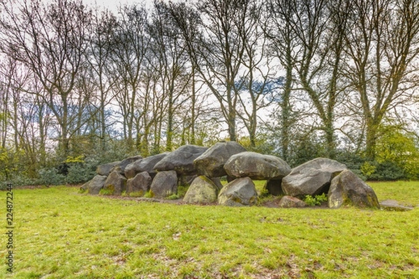 Fototapeta Dolmen D18  near the city of Rolde in the Dutch province of Drenthe with a background of oak trees.  A dolmen or in Dutch a Hunebed is construction work from the new stone age.