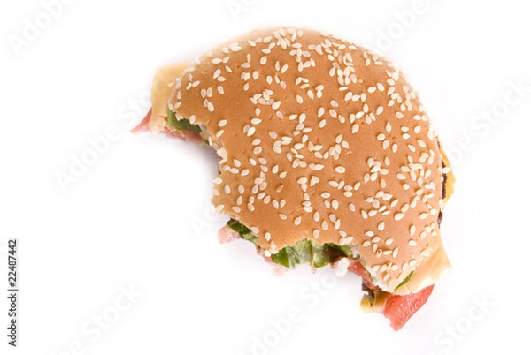 Obraz hamburger