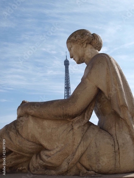 Fototapeta Circonspection