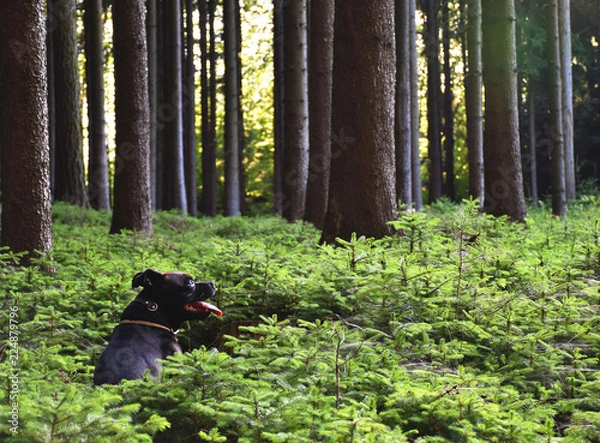 Obraz I dont talk with you