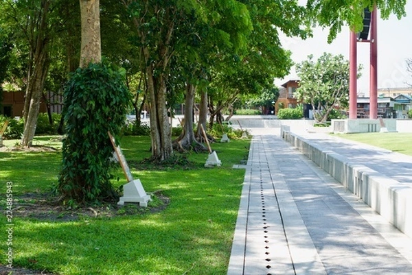 Obraz light and shadow