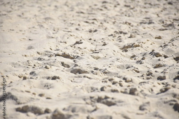 Obraz footprints in the sand