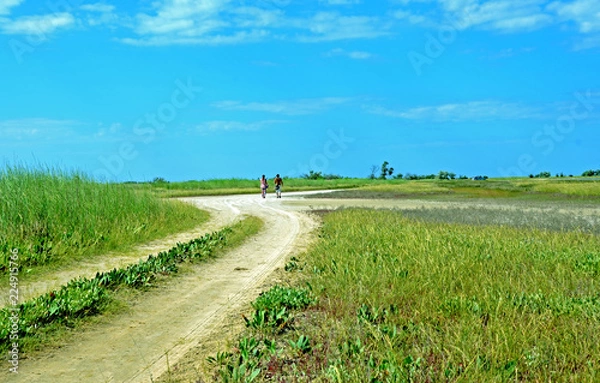 Obraz Road in the field