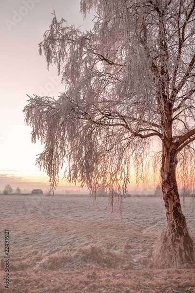 Obraz Winter Impressionen