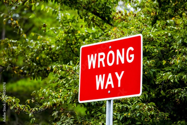 Obraz Wrong way sign