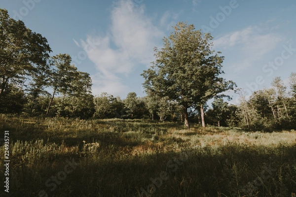 Fototapeta Simple Uniqueness