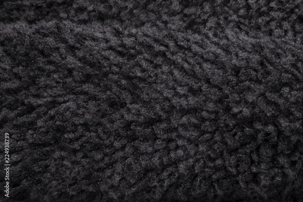 Obraz Bold fur texture