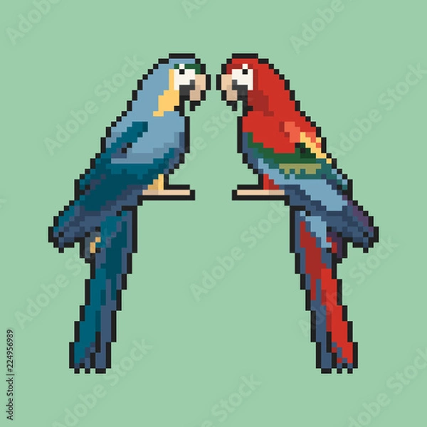 Obraz Two parrots on a green background pixel art. Vector illustration.
