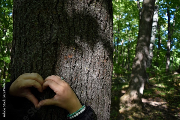 Fototapeta Love nature