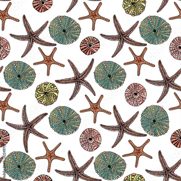 Fototapeta Seamless vector sea pattern. Seashell, various seashells, starfish