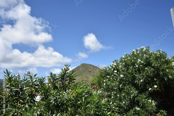 Obraz ココヘッド