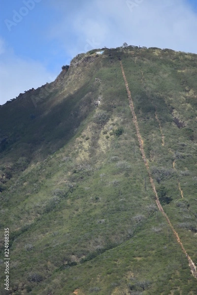 Obraz ココヘッド