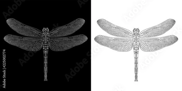 Fototapeta Dragonfly (damselfly) abstract low poly wireframe isolated on black and white background, EPS10 symmetrical vector illustration. Insect with geometry triangle. Polygonal style trendy abstract concept.