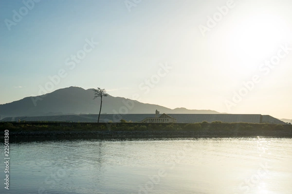 Obraz 岩手県　陸前高田　奇跡の一本松
