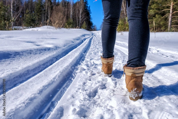 Fototapeta the girl walks on a snow-covered forest path in a sunny frosty day