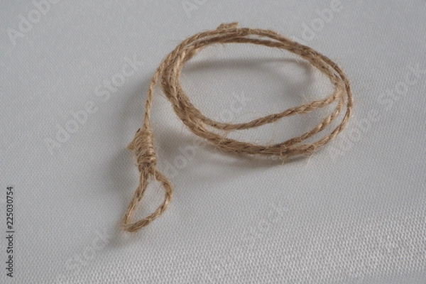 Fototapeta tiny brown noose on a white background