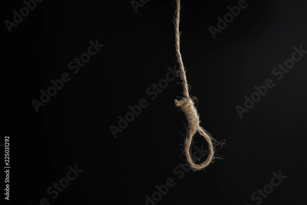 Fototapeta tiny brown noose on a black background