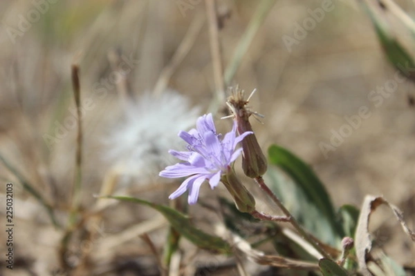 Obraz leśna jesień