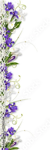 Obraz beautiful border with purple spring flowers