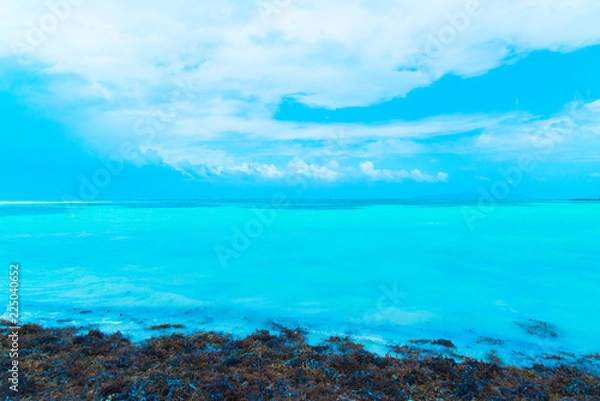 Obraz 竹富島エメラルドグリーンの海