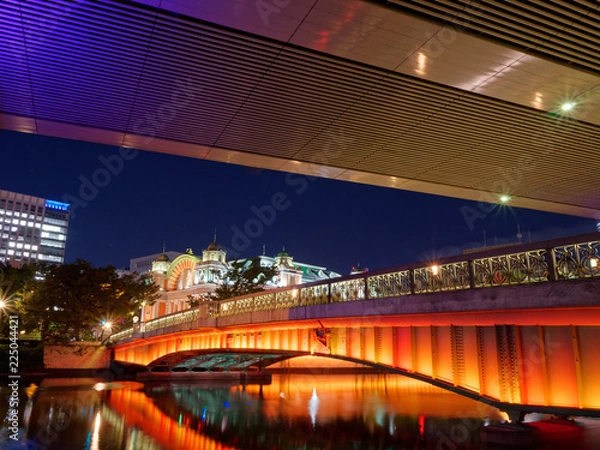 Fototapeta 大阪中之島 夜の鉾流橋 公会堂と阪神高速の高架