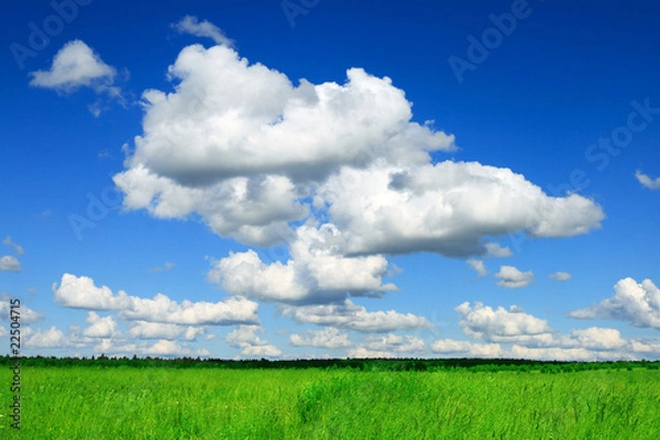 Obraz Green field and Blue Cloud Sky