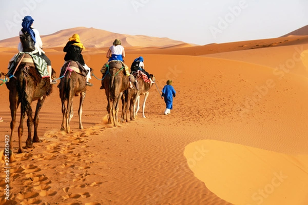 Fototapeta Camel caravan