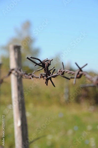 Obraz Barb wire fences