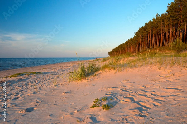 Fototapeta Empty wild beach with the rays of the passing sun. Baltic sea coast. Latvia.