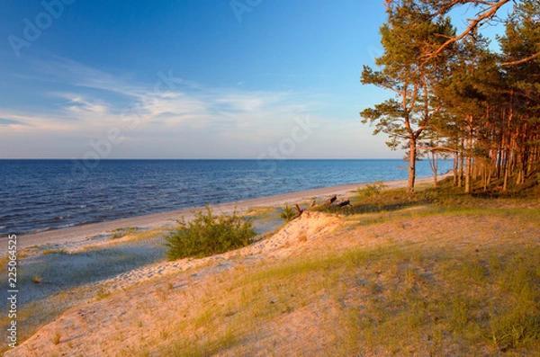 Fototapeta Empty wild beach in the rays of the passing sun. Baltic sea coast. Latvia.