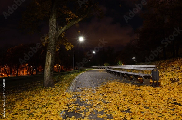 Fototapeta Autumn fallen leaves lie on the path in a city park at night.