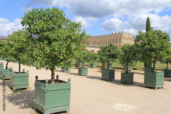 Fototapeta Château de Versailles
