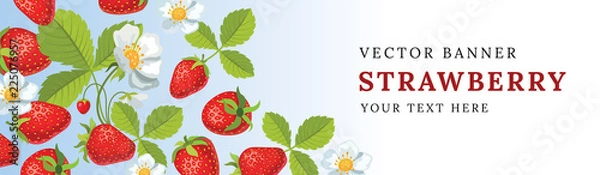 Fototapeta Vector strawberry horizontal banner with flowers. Vector