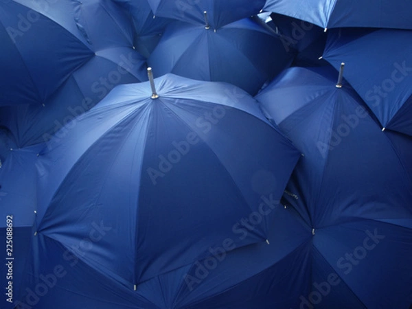 Fototapeta OLYMPUS DIGITAL CAMERA