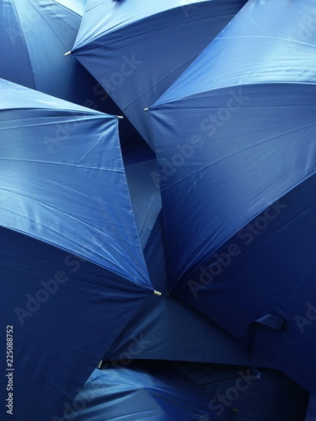 Fototapeta OLYMPUS DIGITAL CAMERA