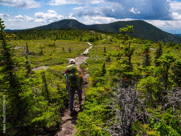 Obraz Hiker on Appalachian Trail in Maine, Lush Mountain Vista