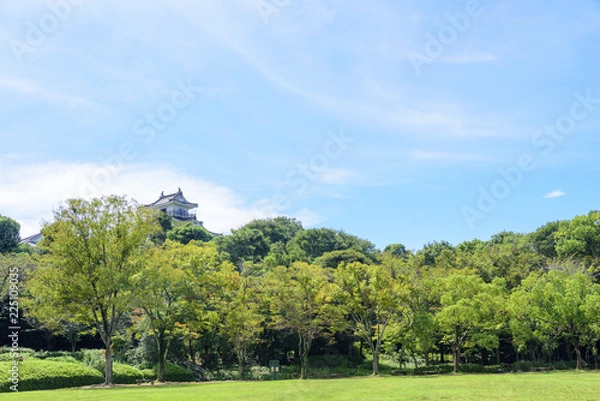 Fototapeta 浜松城公園の中央芝生広場（静岡県浜松市中区）