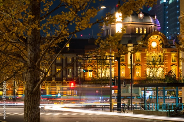 Obraz 黄葉のイチョウと東京駅の夜景