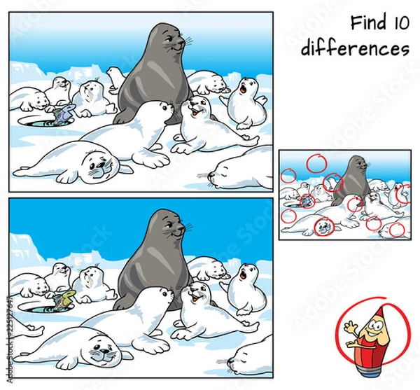 Fototapeta Group of happy baby seals are playing. Find 10 differences. Educational game for children. Cartoon vector illustration