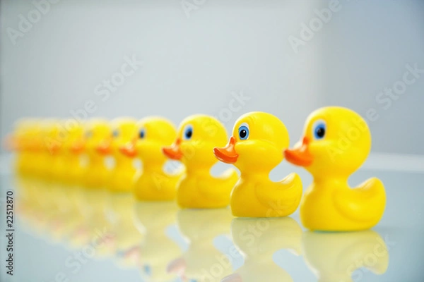 Obraz kaczki w rzędzie