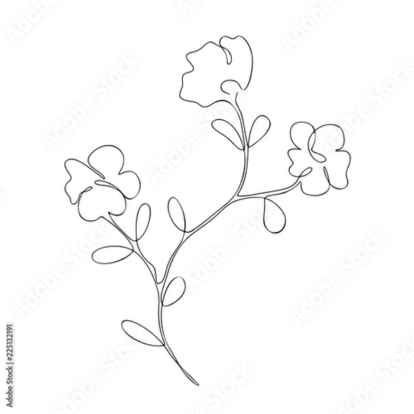 Fototapeta The floral branch with three flowers, decorative summer, spring plant, cherry tree, sakura, one, continuous line art, black outline, vector single, isolated object on the white background