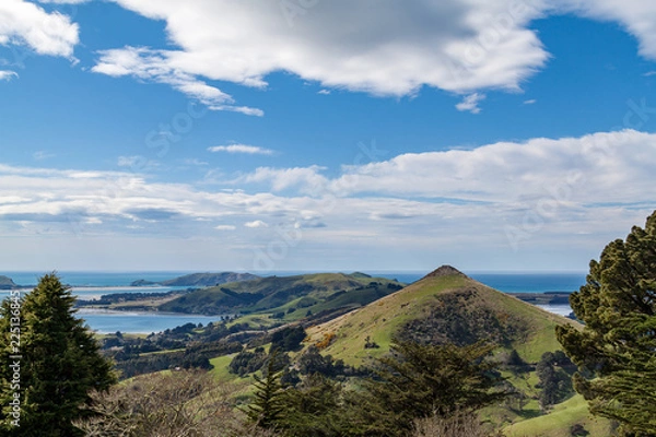 Fototapeta Trees, hills and the sea