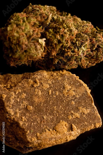 Obraz Marijuana and Hashish
